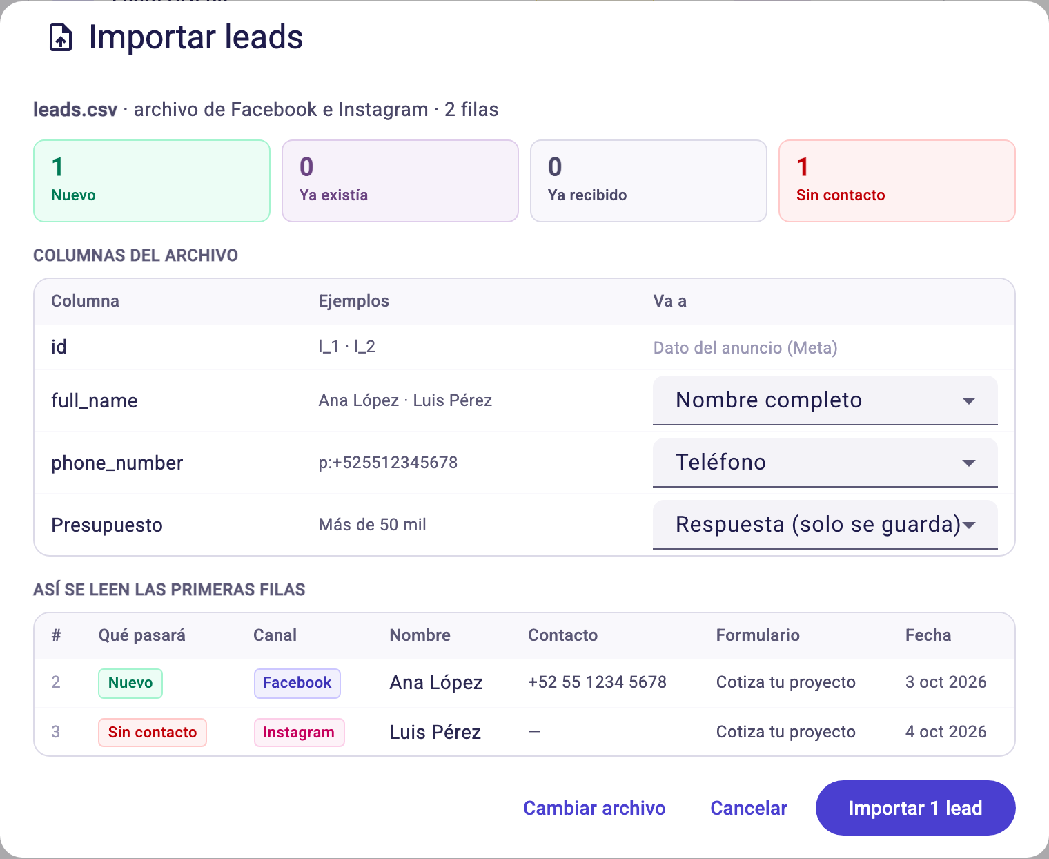 Vista previa de la importación con el resumen de filas, la correspondencia de columnas y las primeras filas