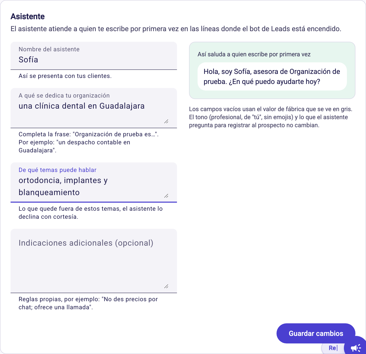 Pantalla Asistente de WhatsApp con el nombre, a qué se dedica la organización y los temas